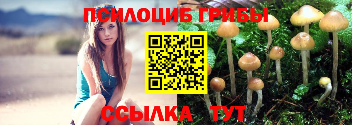 Конопля  Тихорецк  МДМА  Меф МЯУ МЯУ   Cocaine  ГАШ  Купить наркотики  Вход с VPN  Гашиш  Alpha PVP СОЛЬ  